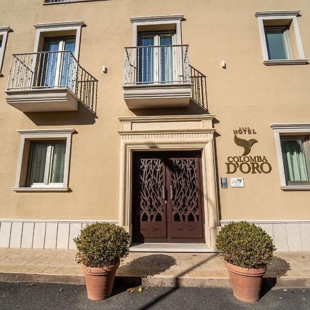 Hotel Colomba D'Oro تروبيا المظهر الخارجي الصورة